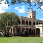 Suburb Guide: Marsfield